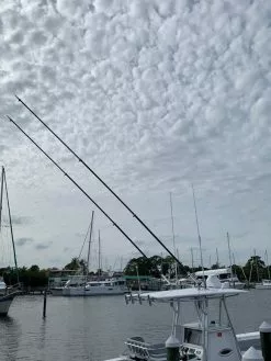 Rupp Carbon Fiber Telescoping Outrigger Pole 5.48m Black/Silver 9 Rupp Carbon Fiber Telescoping Outrigger Pole 5.48m Black/Silver -Ugly Stik Rods Shop img 6122 1