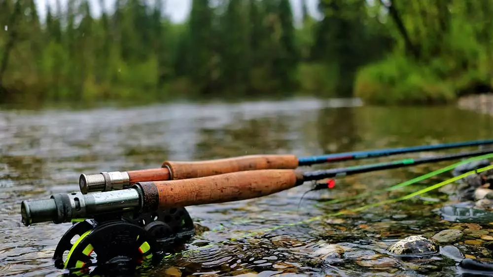 Ugly Stik Rods Shop -Ugly Stik Rods Shop Best Beginner Fly Rods Lead Image 1